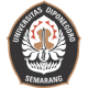 undip